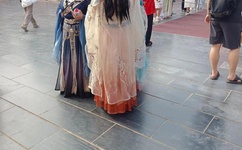 99久久久无码国产精品免费人妻